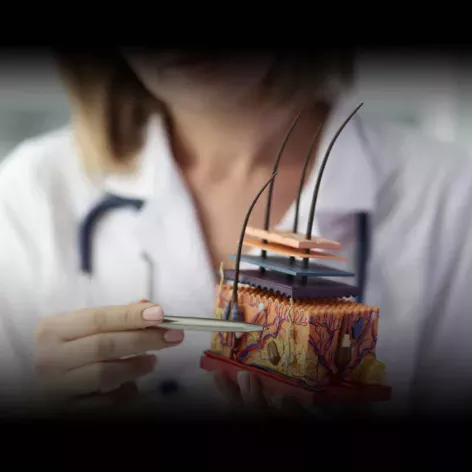 Des laseristes hautement qualifiés garantissent une épilation laser sécurisée et efficace.